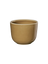 mug, mocha